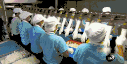 2025新老澳门原料免费大全