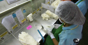 2025新老澳门原料免费大全