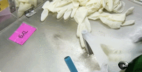 2025新老澳门原料免费大全