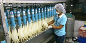 2025新老澳门原料免费大全