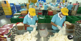 2025新老澳门原料免费大全