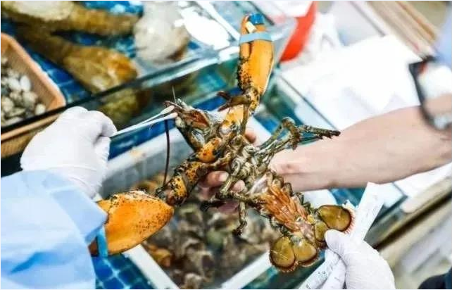 2025新老澳门原料免费大全